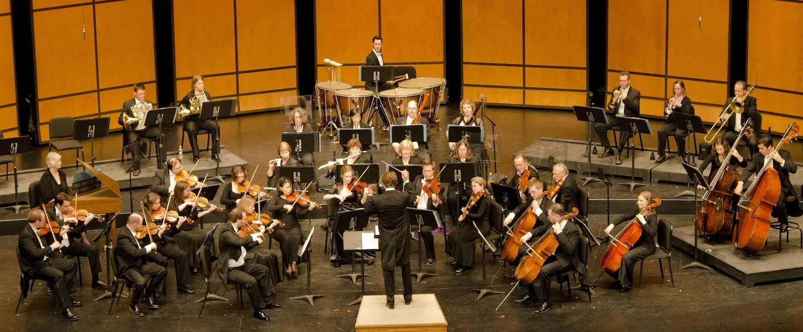 Thunder Bay Symphony Orchestra on stage